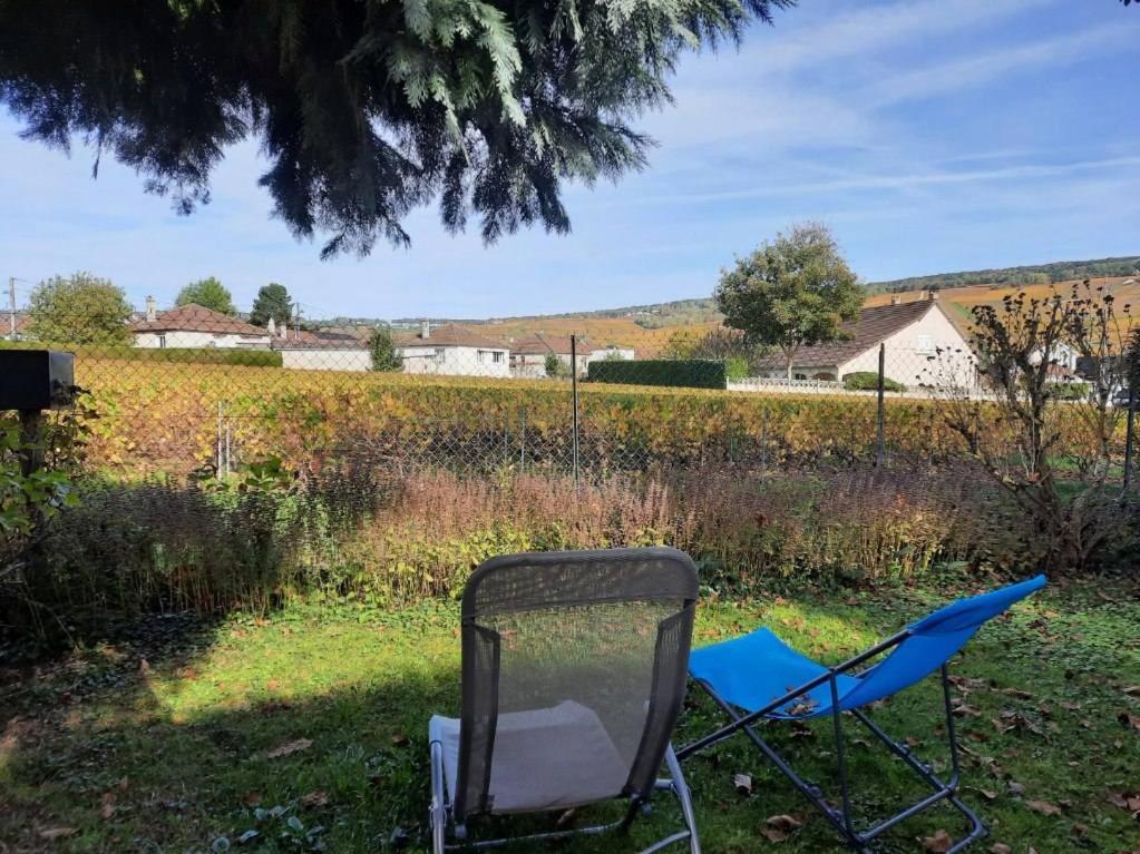 Gite Independant Diz'Enreves Au Coeur Des Vignes Dizy Exterior photo